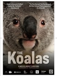 The Koalas: A Movie About Survival
